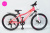 Фото VARMA Columba H43DA 24" 7ск. ал. VARMA Columba H43DA 24" 7ск. ал. картинка каталога